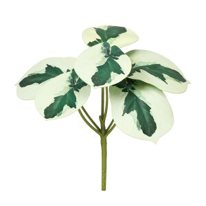 asca yy~AsbN EJ@QCgO| 1{