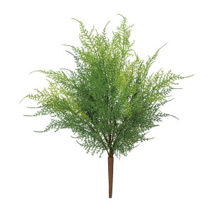 asca AXpKXt@[ubV O| 1{