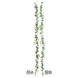 asca ~jVTXACr[K[h 1{