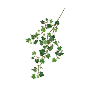 asca ACr[oC EJ@QCgO| 1{