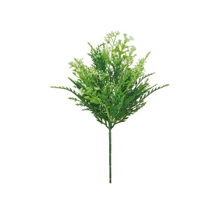 asca ~bNX[tsbN O| 1{