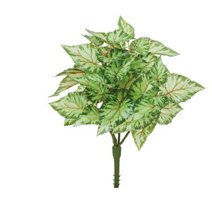 asca xSjAubV c|gO| 1{