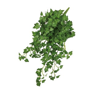 asca ACr[nMOubV O| 1{