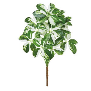 asca VFtubV EJ@QCgO| 1{