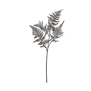 asca AXpKXt@[ ubN 1{