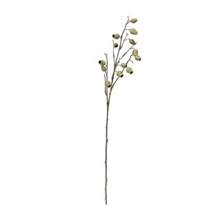 asca [J|bhXv[ X|L|O| 1{