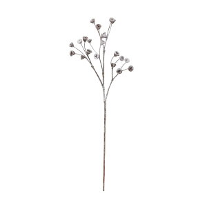 asca [JV[hXv[ `RuE 1{