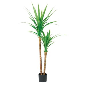 asca nCAOXc[i|bgtj O| 1{