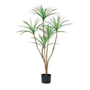 asca hZii|bgtj O| 1{