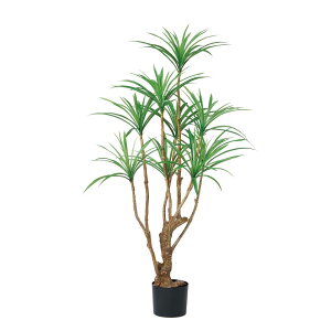 asca hZii|bgtj O| 1{