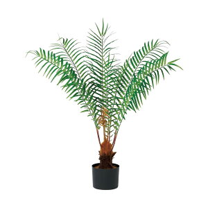 asca t@[c[i|bgtj O| 1{