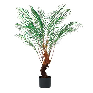 asca t@[c[i|bgtj O| 1{