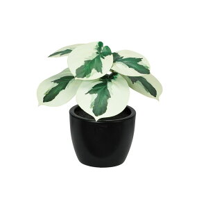 asca yy~Ai|bgtj EJ@QCgO| 1R