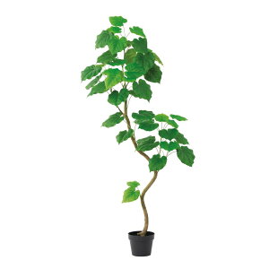 asca Ex[^i|bgtj O| 1{