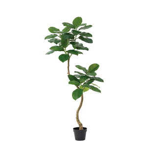 asca S̖؁i|bgtj O| 1{