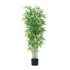 asca ou[c[i|bgtj O| 1{