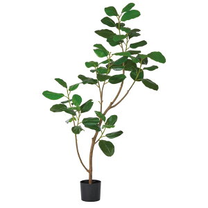 asca S̖؁i|bgtj O| 1{