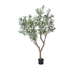 asca I[ui|bgtj i` 1{