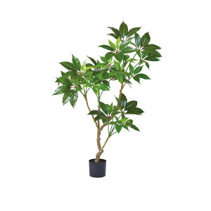 asca cs^TXi|bgtj O| 1{