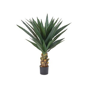 asca AKxi|bgtj _|NO| 1{