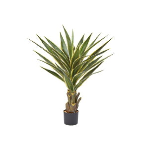 asca AKxi|bgtj EJ@QCgO| 1{