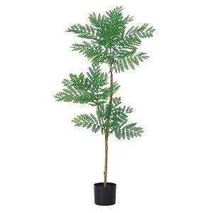 asca Go[tbVi|bgtj O| 1{