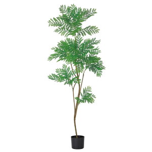 asca Go[tbVi|bgtj O| 1{