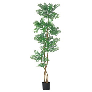 asca Go[tbVi|bgtj O| 1{