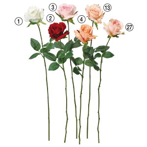 ԍ  asca AX[Y o t[ Be   Bep