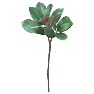 NX}X Xmas asca }OmA[t 