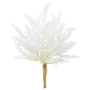 ԍ  asca AX`xo` Be   Bep