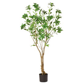 アセビ（簡易ポット付） グリ－ン 馬酔木 フェイクグリーン 150cm 人工観葉植物 造花 リアル 人工樹木