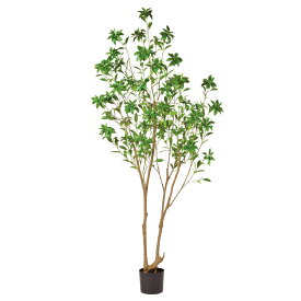 アセビ（簡易ポット付） グリ－ン 馬酔木 215cm フェイクグリーン 人工観葉植物 造花 リアル 人工樹木