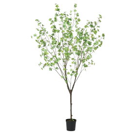 ドウダン（簡易ポット付） グリ－ン 190cm フェイクグリーン ドウダンツツジ 人工観葉植物 造花 リアル 人工樹木