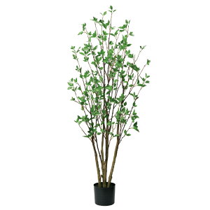 hE_iȈՃ|bgtj O| 153cm tFCNO[ hE_ccW lHϗtA  A lH