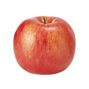 asca tWS   HiTv Be   Bep