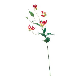 asca OIT ԍ  Be   Bep