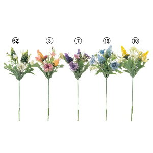 ベロニカ 花の人気商品 通販 価格比較 価格 Com