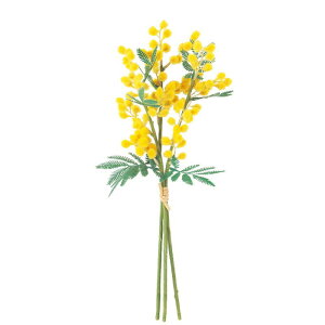 asca ~Uo` ԍ  Be   Bep