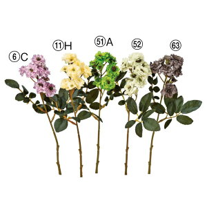 asca ||[Y o KN ԍ  Be   Bep