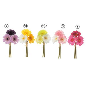 asca ~jK[xo` ԍ  Be   Bep