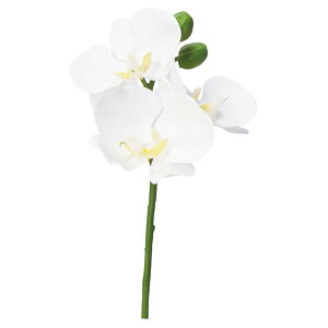 asca R`EsbN Ӓ t@mvVX ԍ  Be   Bep