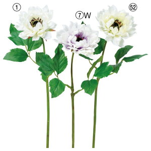 asca All   ԍ  Be   Bep