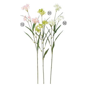 楽天市場 ブバルディア 花 観葉植物 花 ガーデン Diy の通販 楽天市場 ブバルディア 花 観葉植物 花 ガーデン Diy の通販