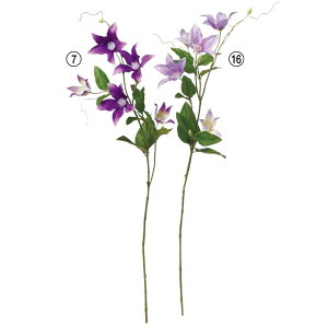 asca N}`X ԍ  Be   Bep