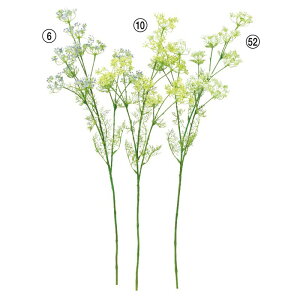 asca fBt[ ԍ  Be   Bep