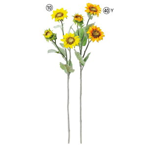 asca Tt[ ԍ  Be   Bep