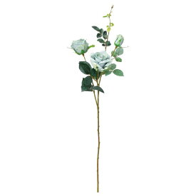 楽天市場 シルビア 花 観葉植物 花 ガーデン Diy の通販 楽天市場 シルビア 花 観葉植物 花 ガーデン Diy の通販