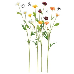 asca ~jRXX ԍ HF  Be   Bep