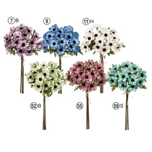 asca Allo` ԍ  Be   Bep